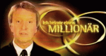 Ich heirate einen Millionär