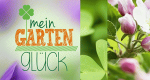 Mein Gartenglück
