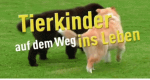 Tierkinder auf dem Weg ins Leben