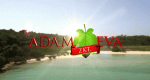 Adam sucht Eva