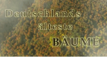 Deutschlands älteste Bäume (D, 2007 – )