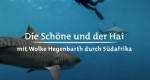 Die Schöne und der Hai