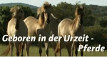 Pferde: Geboren in der Urzeit (D, 2008 – )