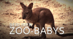 Berliner Zoo-Babys (D/GB, 2010 – )