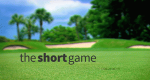 The Short Game (USA, 2014 – )