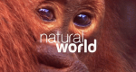 Natural World