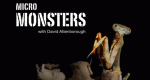 Kleine Monster