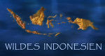 Wildes Indonesien