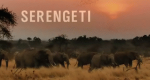Serengeti