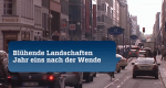 Blühende Landschaften - Jahr eins nach der Wende