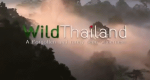 Wildes Thailand
