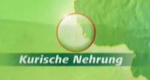 Kurische Nehrung