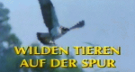 Wilden Tieren auf der Spur