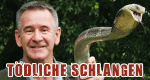 Tödliche Schlangen