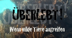 Überlebt! - Wenn wilde Tiere angreifen