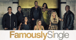 Famously Single (USA, 2016 – )