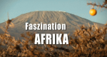 Faszination Afrika