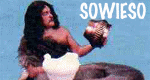 Sowieso