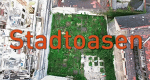 Stadtoasen
