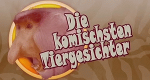 Die komischsten Tiergesichter