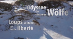 Die Odyssee der einsamen Wölfe