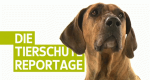 Die Tierschutzreportage (D, 2016 – )