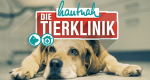 Hautnah: Die Tierklinik
