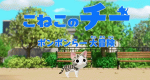 Kleine Katze Chi