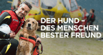 Der Hund - Des Menschen bester Freund (GB, 2016 – )