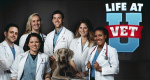 Vet School - Die jungen Tierärzte (USA, 2016 – )