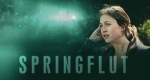 Springflut (S, 2016 – )