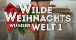 Wilde Weihnachtswunderwelt