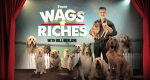 Dog Hollywood - Vom Streuner zum Star