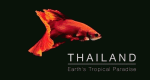 Wildes Thailand