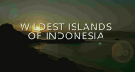 Wildes Indonesien (GB, 2016 – )