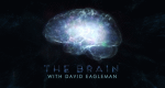The Brain - Das menschliche Gehirn (GB/USA, 2015 – )