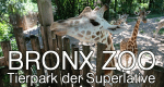 Bronx Zoo - Tierpark der Superlative