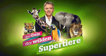 Das Quiz der wilden Supertiere