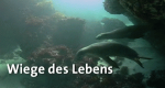 Tiere und Pflanzen