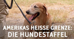 Amerikas heiße Grenze: Die Hundestaffel (USA, 2017 – )