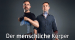 Der menschliche Körper