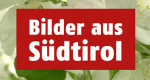 Bilder aus Südtirol (A, 2000 – )