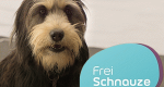 Frei Schnauze - Das Tiermagazin (D, 2018 – )