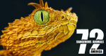 72 Dangerous Animals: Latin America