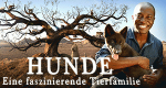 Hunde - Eine faszinierende Tierfamilie (GB, 2017 – )