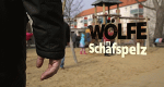 Wölfe im Schafspelz