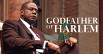 Godfather of Harlem (USA, 2019 – )