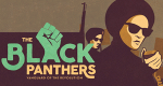 Black Panthers (USA, 2015 – )