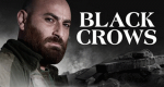 Black Crows