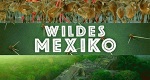 Wildes Mexiko